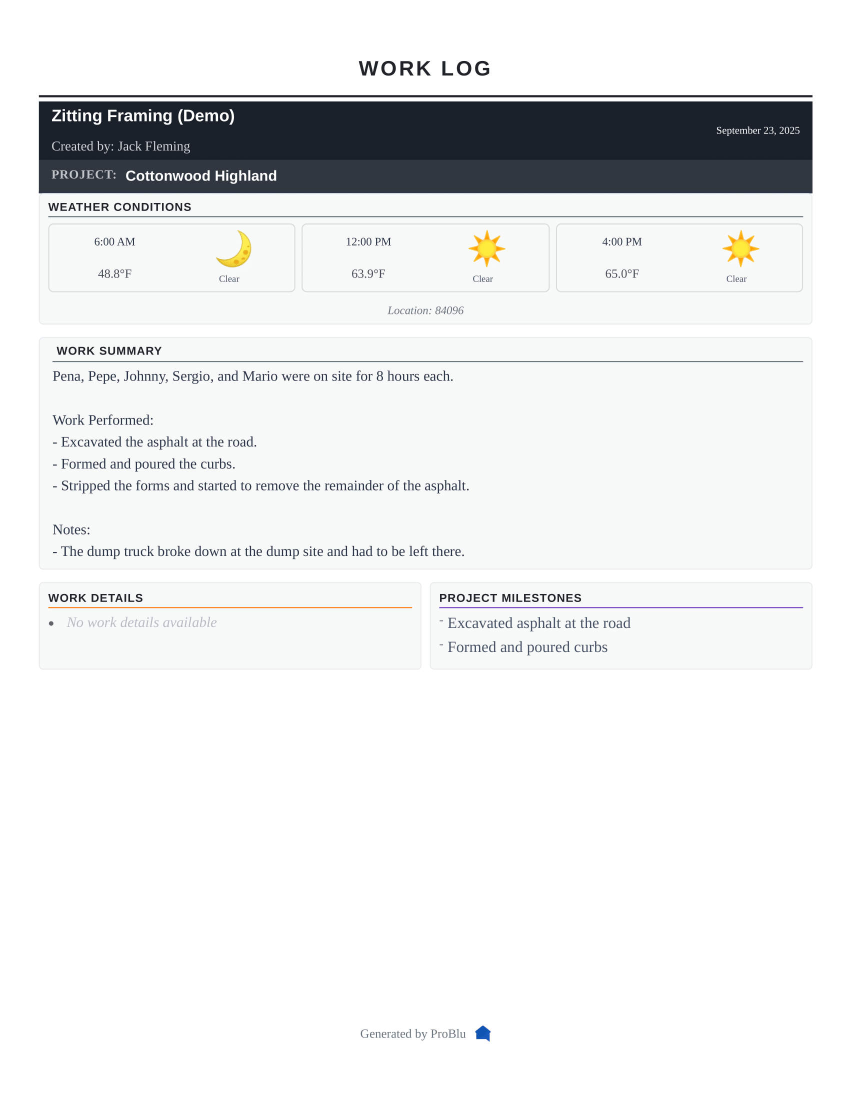 Screenshot of a ProBlu daily log generated from a text message